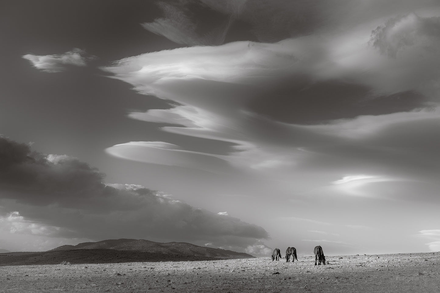 Peace – Wild Horse Landscape by Maria Marriott